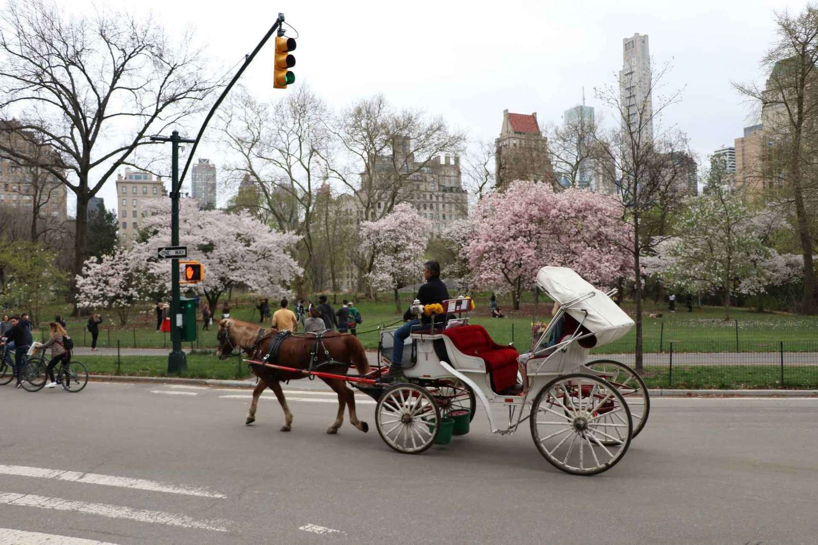 Nowy Jork: przejażdżka bryczką przez Central Park