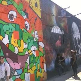 Brooklyn: Wycieczka piesza Bushwick Street Art