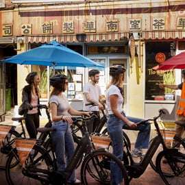 Wycieczka rowerowa po Nowym Jorku: Brooklyn, DUMBO i Chinatown
