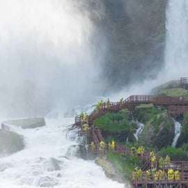 Z Nowego Jorku: Całodniowa wycieczka nad wodospad Niagara z przewodnikiem