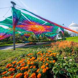 Bilet do Ogrodu Botanicznego w Nowym Jorku: All-Garden Pass