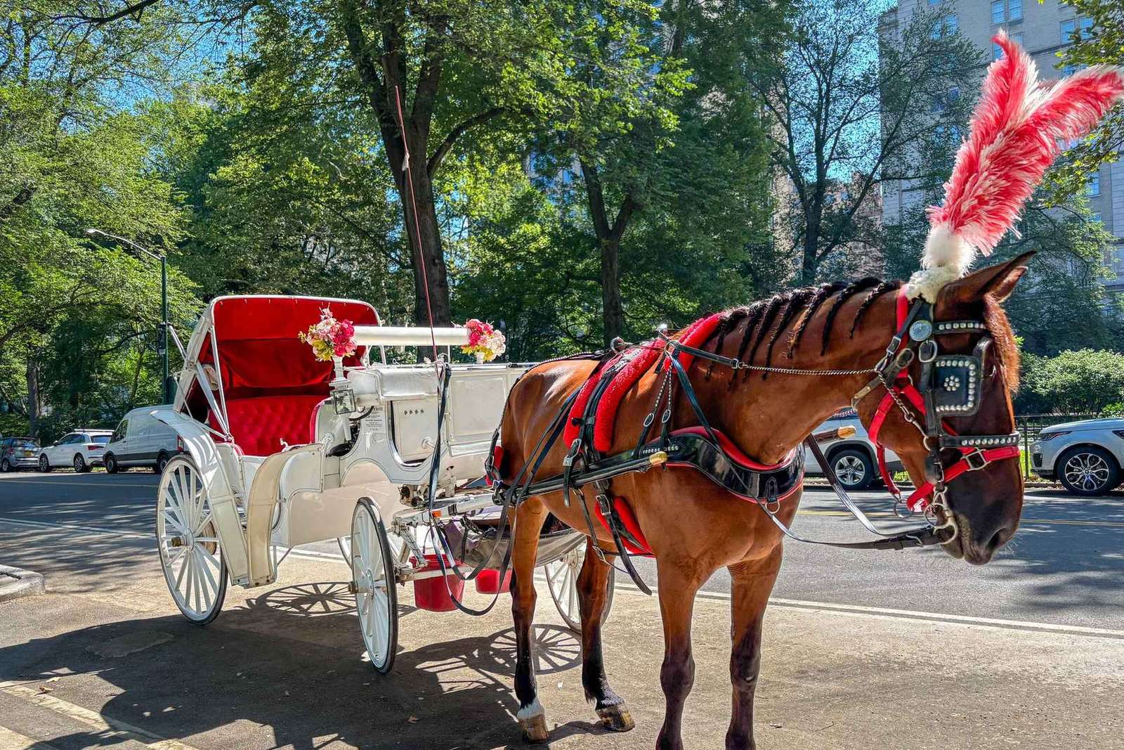 Przejażdżka dorożką po Central Parku z postojem na zdjęcia