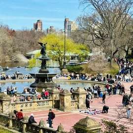 NYC: Central Park Pedicab Tour / Przystanki na zdjęcia