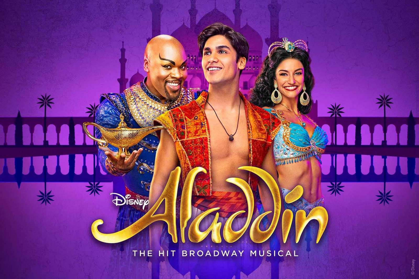 Nowy Jork: Aladyn na Broadwayu bilety wstępu