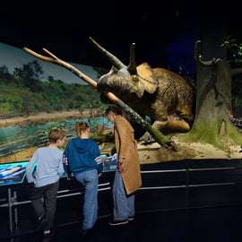 Nowy Jork: Amerykańskie Muzeum Historii Naturalnej