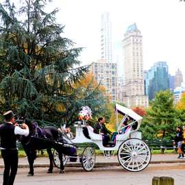NYC: Przejażdżka bryczką w Central Parku (do 4 osób dorosłych)