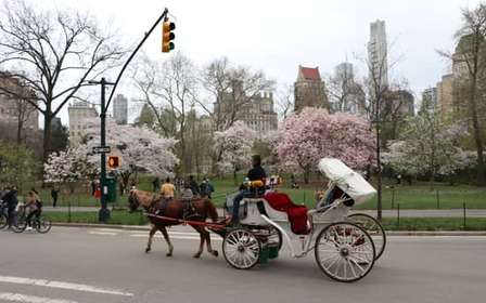 Nowy Jork: przejażdżka bryczką przez Central Park