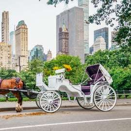 NYC: Przejażdżka bryczką z przewodnikiem po Central Parku