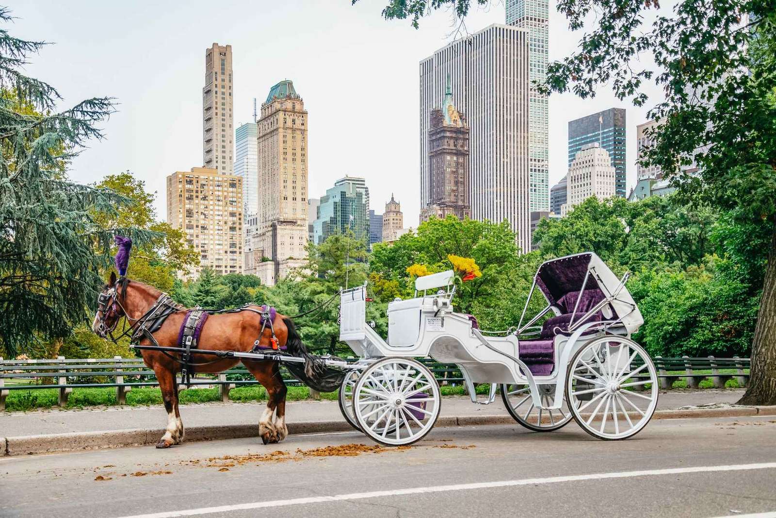 NYC: Przejażdżka bryczką z przewodnikiem po Central Parku
