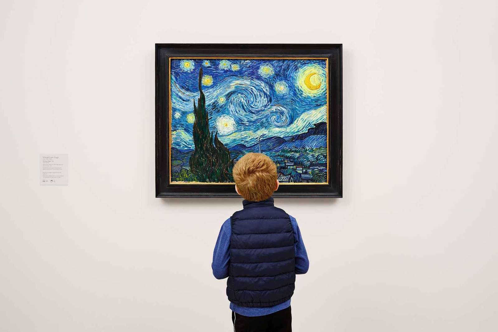 NYC: Bilet wstępu do Muzeum Sztuki Nowoczesnej (MoMA)