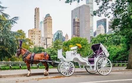 NYC: Przejażdżka bryczką z przewodnikiem po Central Parku