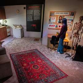 Wystawa Mind of a Serial Killer, bilet z audio w przeglądarce